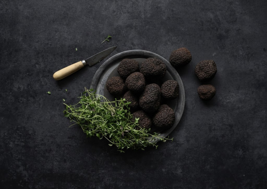 WEEK-END D'EXCEPTION À UZÈS : PLONGÉE AU COEUR DE LA FÊTE DE LA TRUFFE 🌿