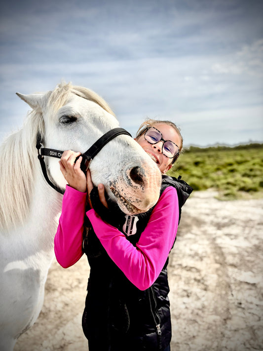 UNE VISITE EN CAMARGUE 🦩