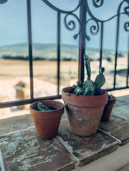 Gîte "La gloire de mon père"